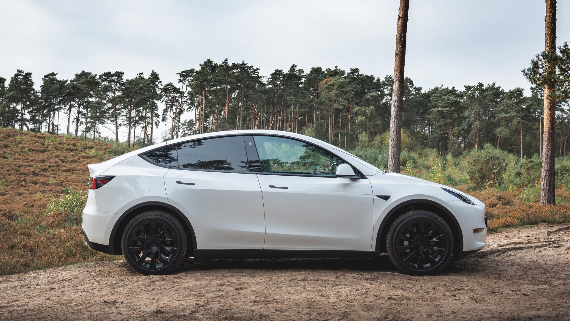 Tesla Model Y Review & Prices 2023 AutoTrader UK